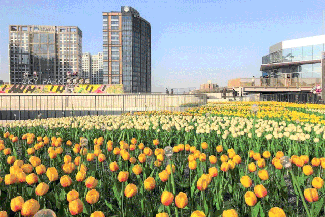 微信图片_20200910173158.gif